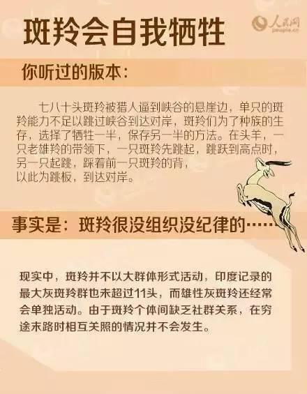 原来这些都是“假鸡汤”！请别再讲给孩子听了！